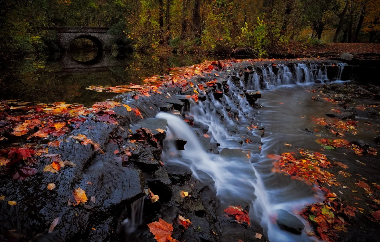 Photo wallpaper autumn, forest, bridge, Park, river, waterfall, cascade, Ohio
