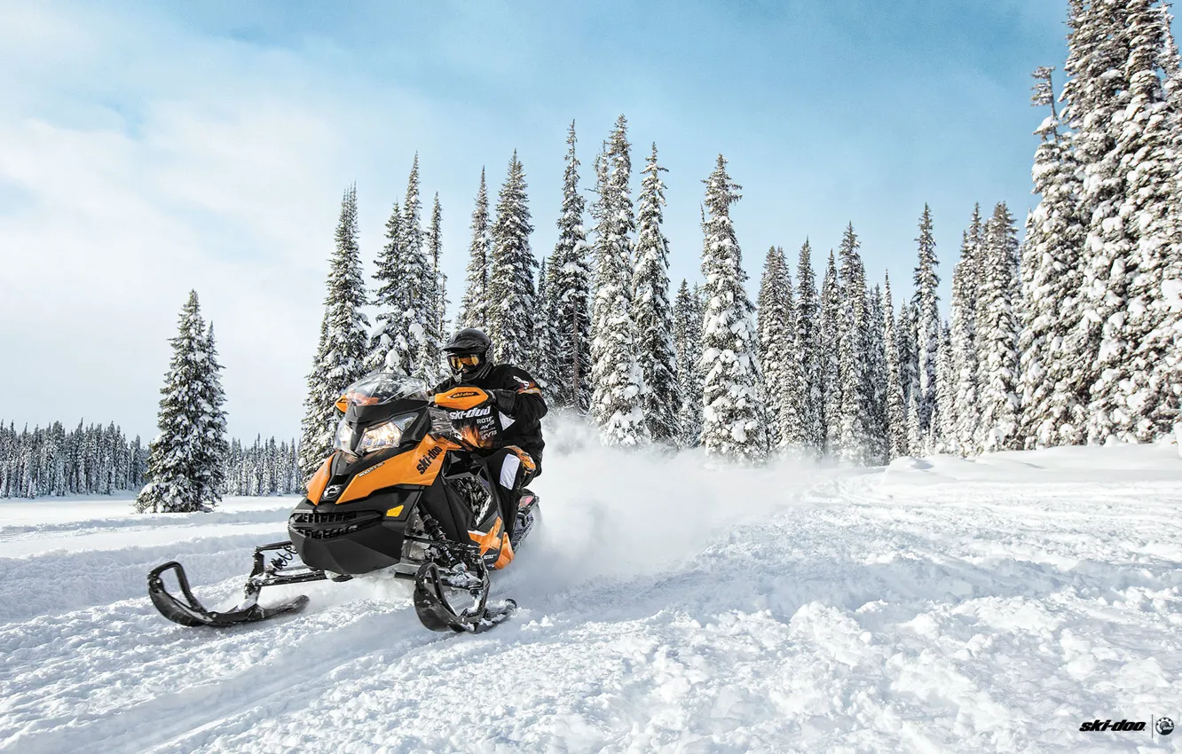 Photo wallpaper forest, snowmobile, snowmobile, ski-doo