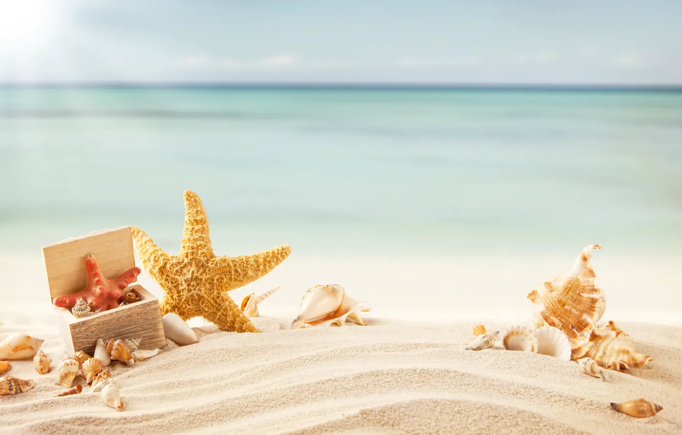 Photo wallpaper sand, sea, beach, tropics, shell, starfish