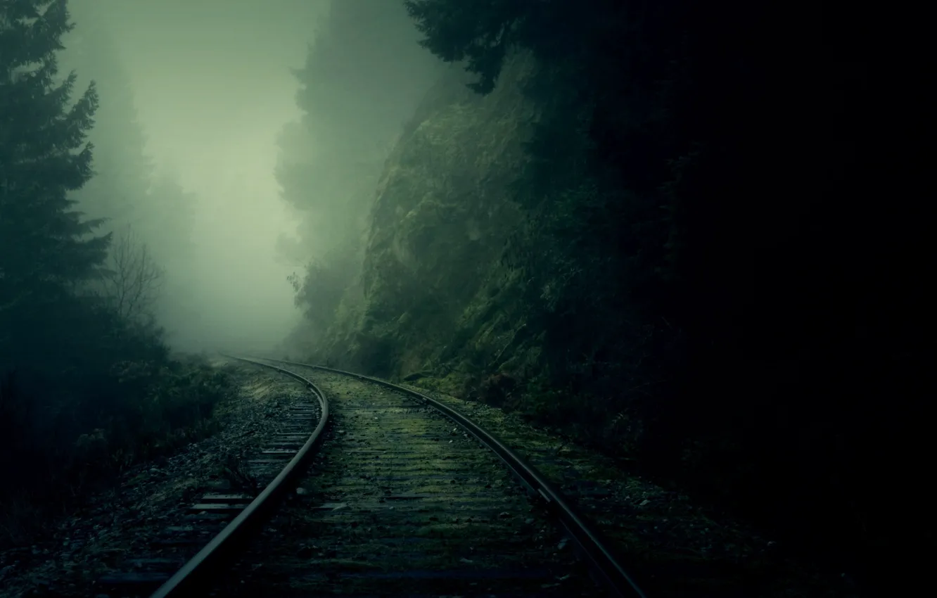 Photo wallpaper forest, fog, rails, turn