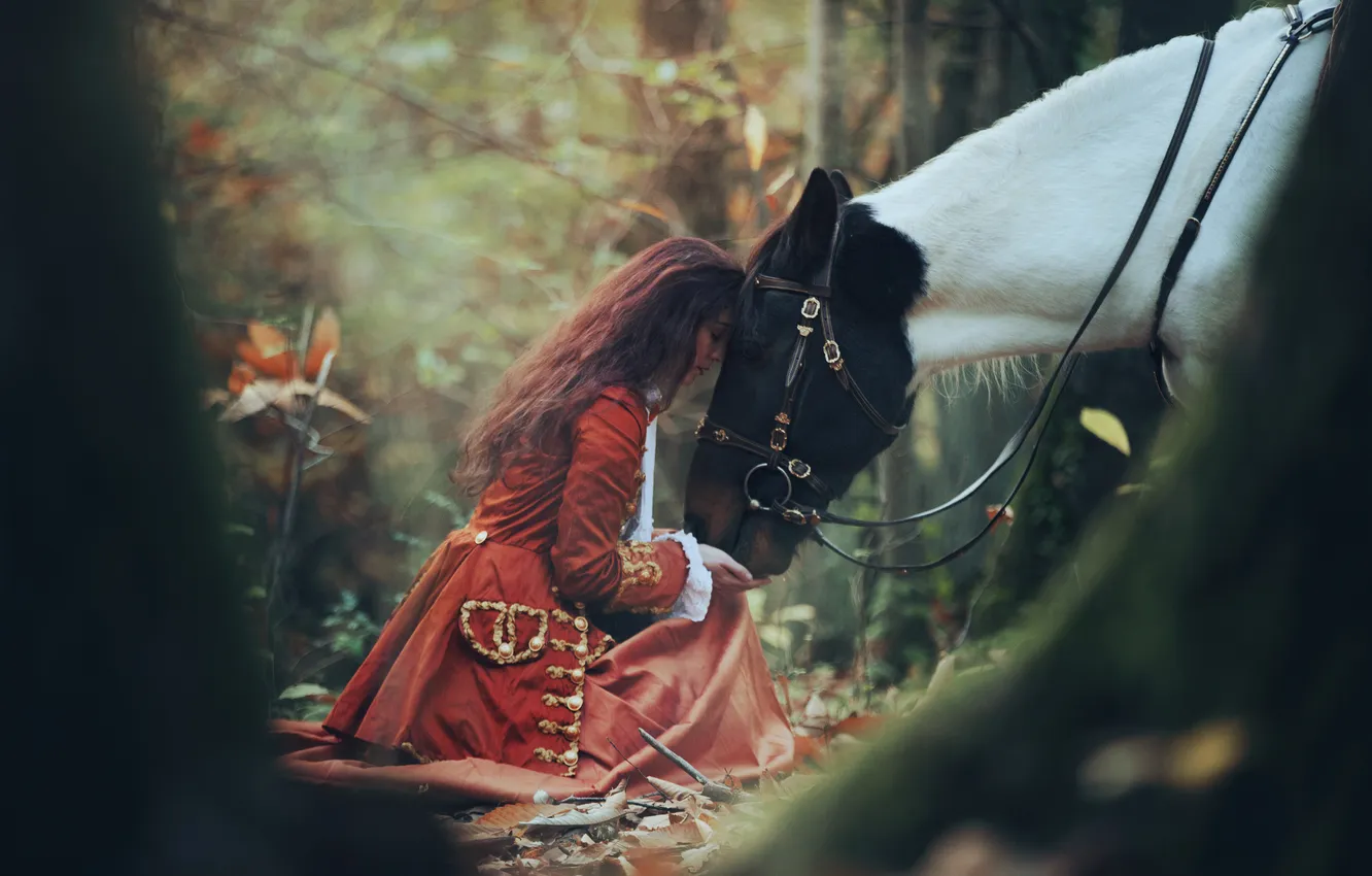 Photo wallpaper sadness, forest, girl, horse