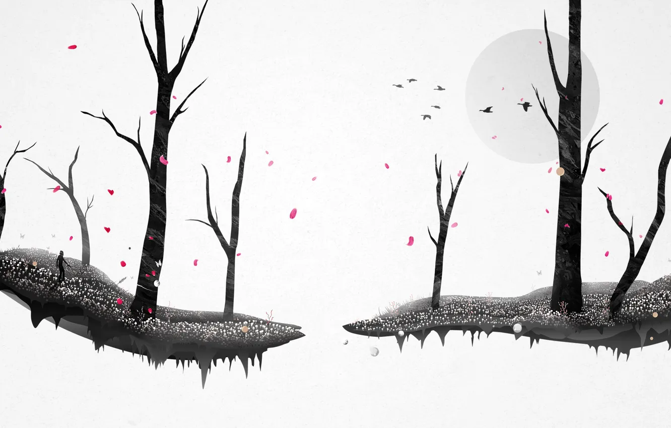 Photo wallpaper autumn, forest, leaves, trees, bird, Chris Haines