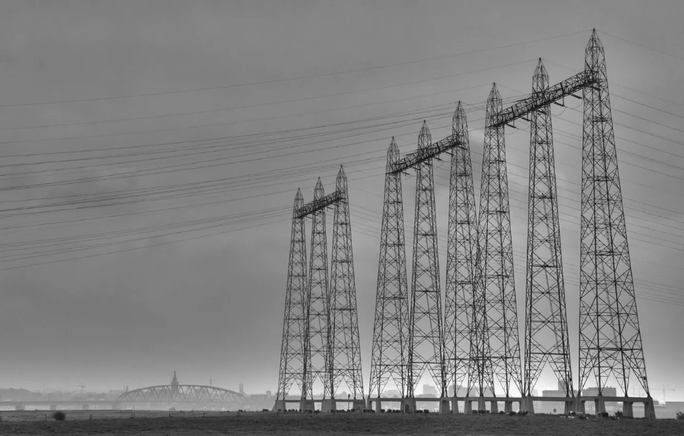 Photo wallpaper black and white, Power lines