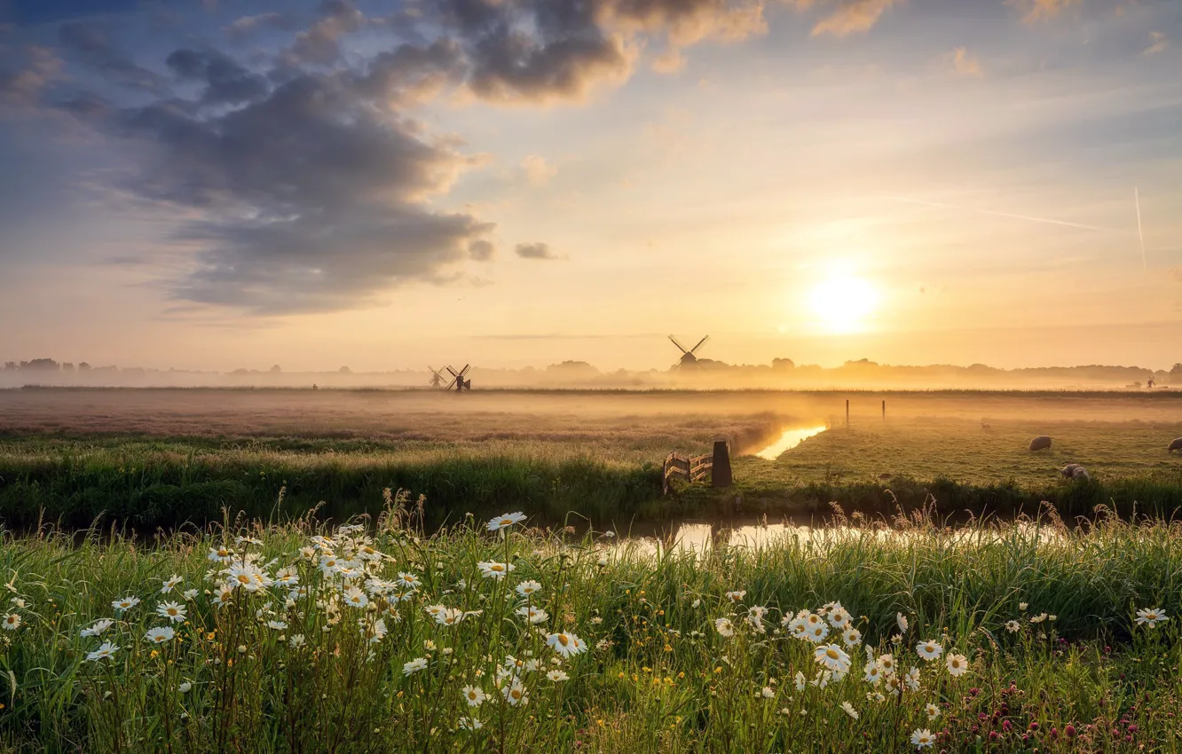Photo wallpaper Holland, windmill, mist, Dutch territories