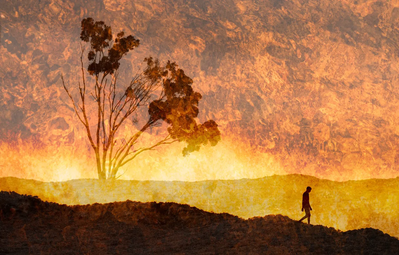 Photo wallpaper Feeling the Heat, silhouette, fantasy, trees