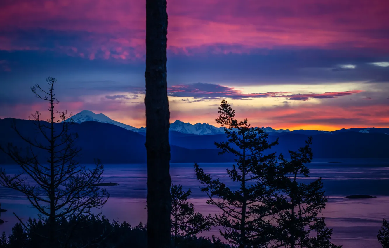 Photo wallpaper mountains, Quest the Crest, the sky, trees