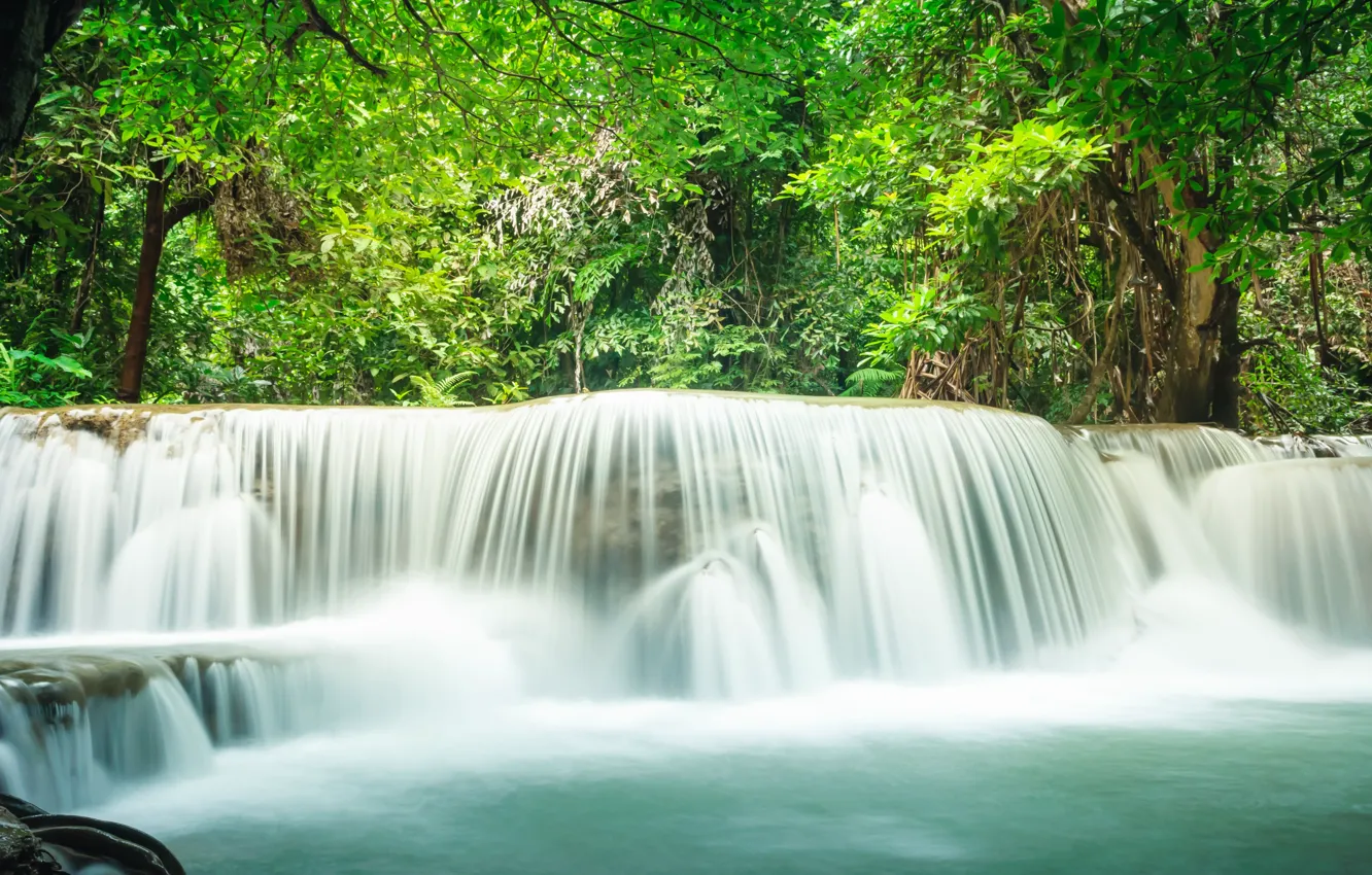 Photo wallpaper forest, landscape, river, rocks, waterfall, summer, forest, tropical