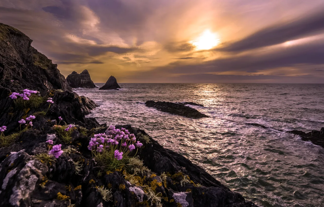 Photo wallpaper sea, sunset, rocks