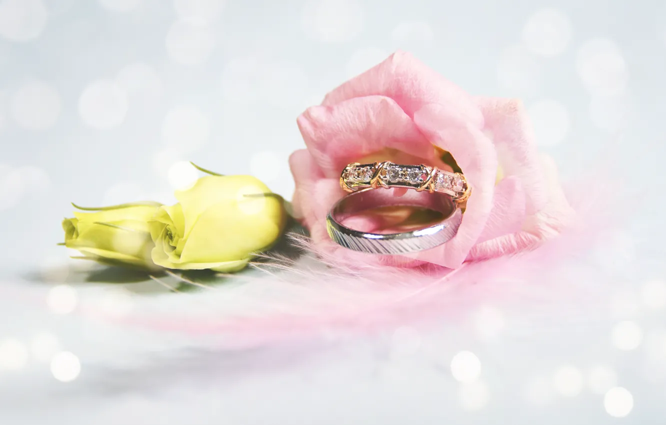 Photo wallpaper flower, Engagement rings, wedding