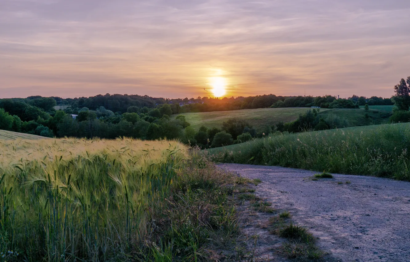 Photo wallpaper road, field, forest, the sky, grass, the sun, clouds, light