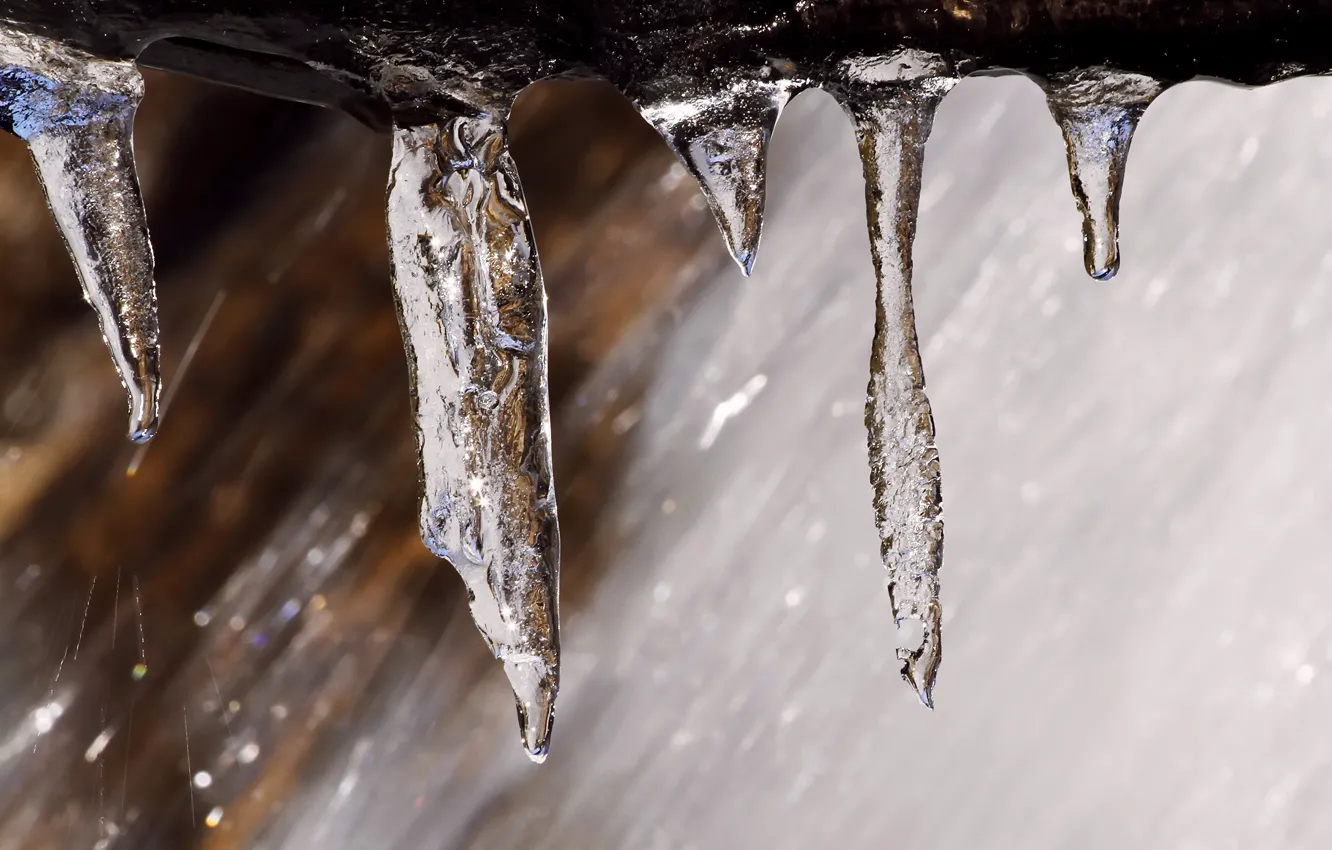 Photo wallpaper ice, macro, nature, icicles