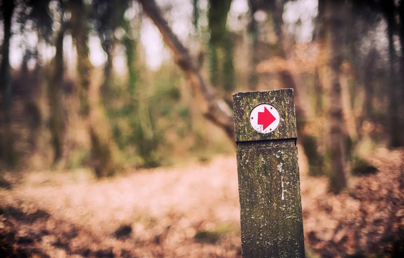 Photo wallpaper background, sign, posts