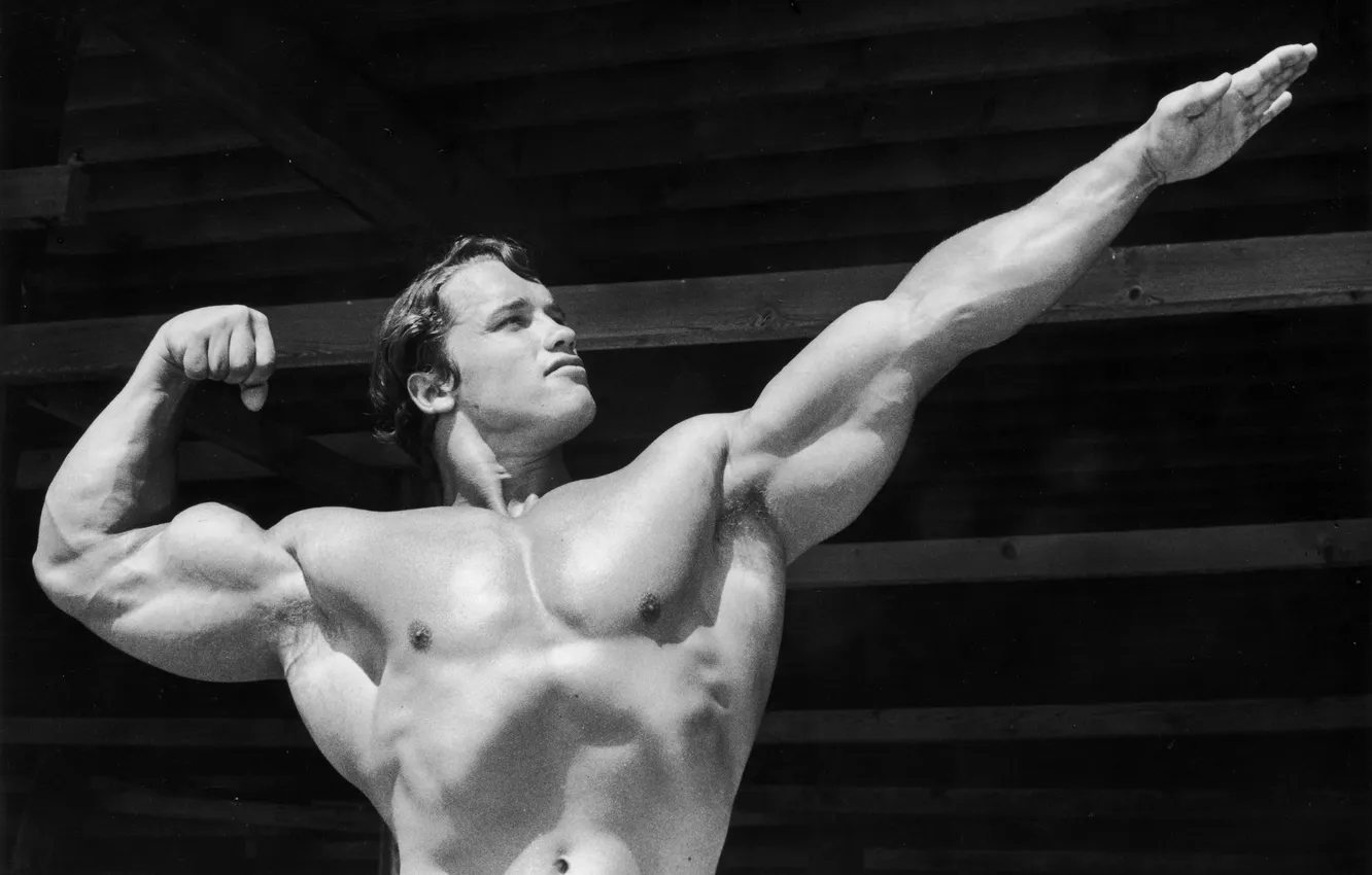 Photo wallpaper black and white, Arnold Schwarzenegger, Arnold Schwarzenegger, aesthetics