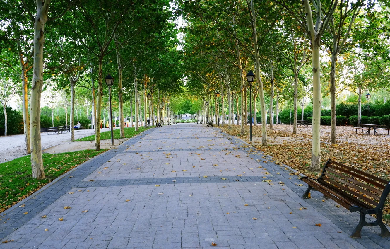 Photo wallpaper the city, street, bench