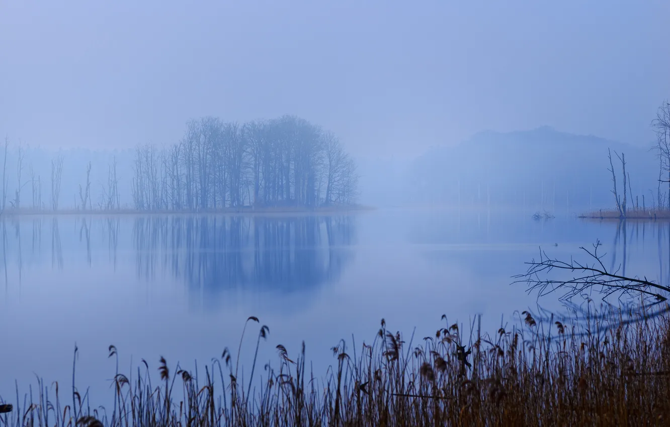 Photo wallpaper grass, trees, mountains, fog, lake
