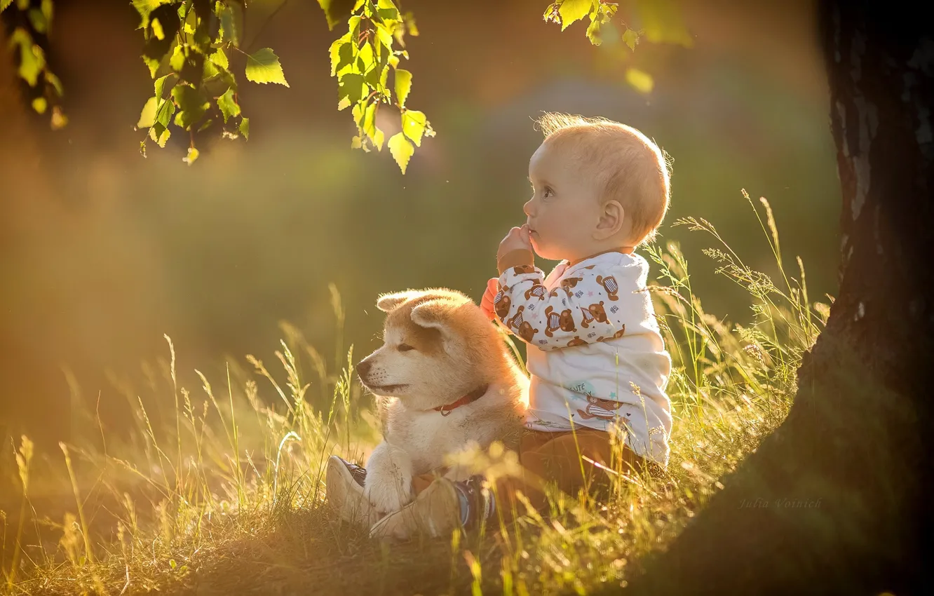Photo wallpaper summer, grass, leaves, trees, branches, nature, children, animal