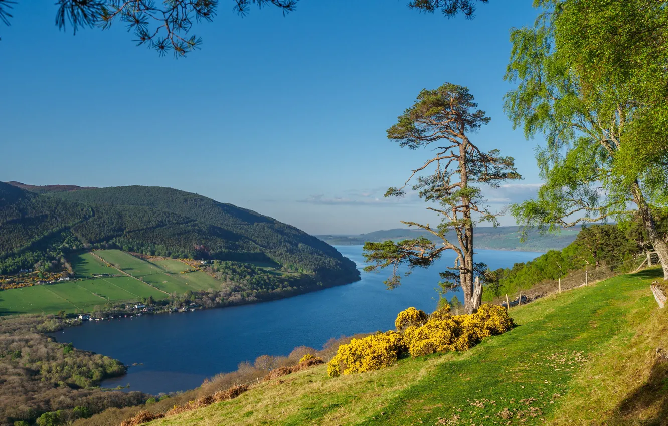 Photo wallpaper trees, lake, hills, slope, Scotland, Scotland, Scottish Highlands, Loch Ness