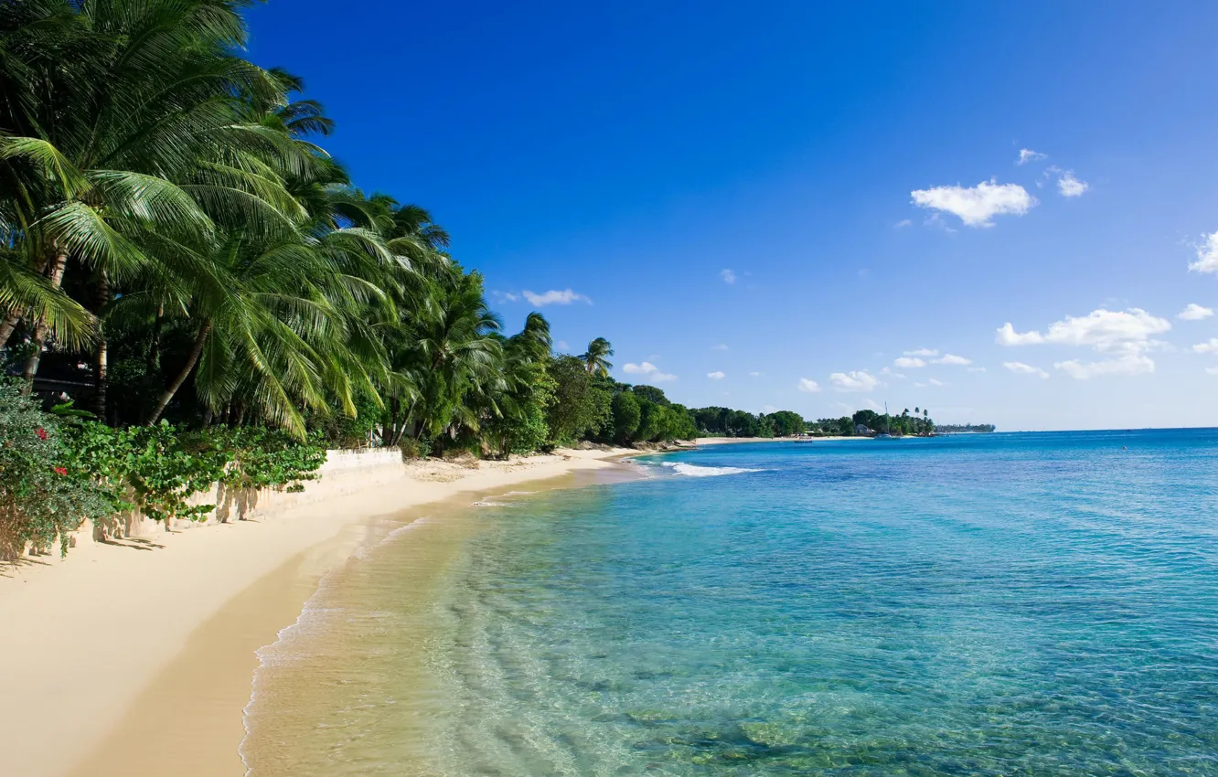 Photo wallpaper sand, sea, palm trees