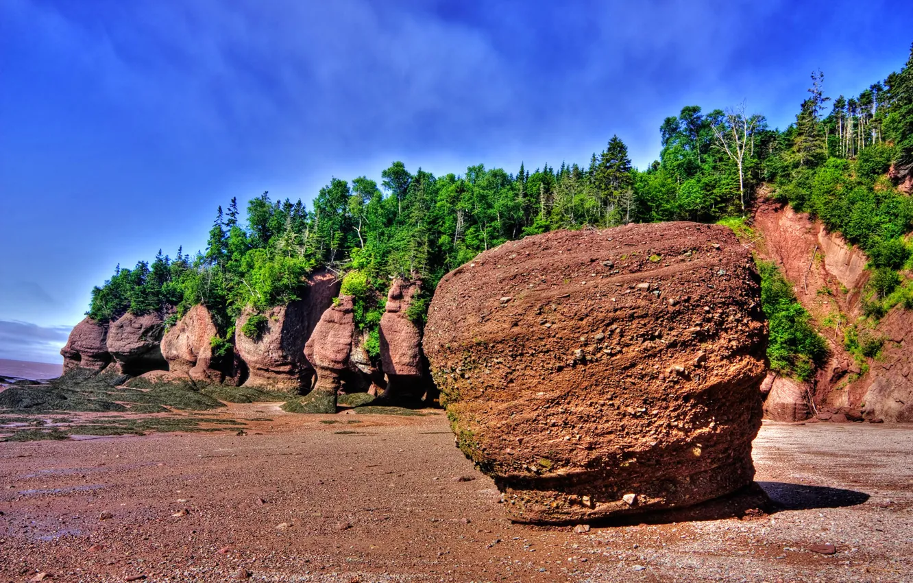 Photo wallpaper sea, the sky, trees, stones, rocks, shore