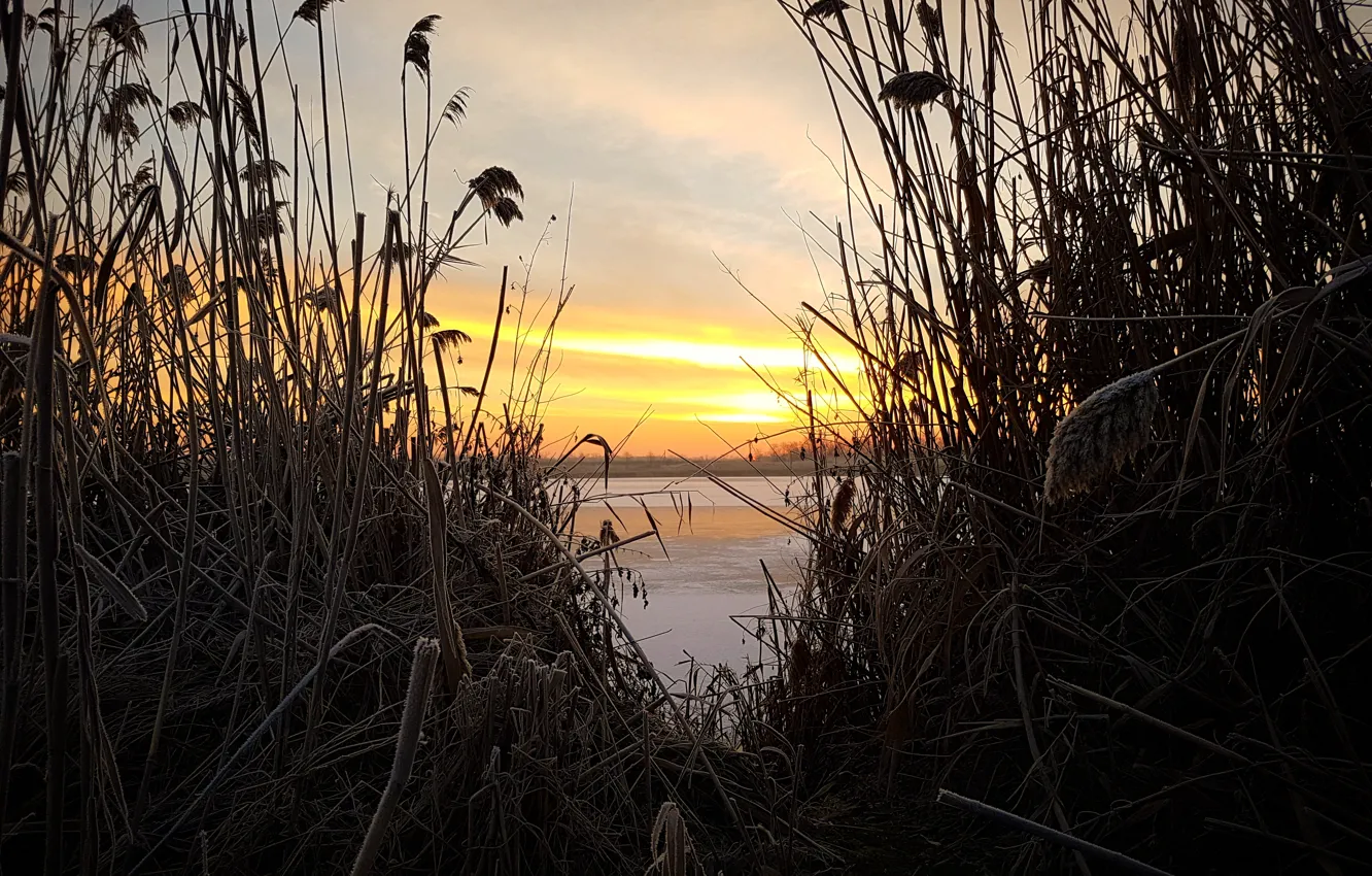 Photo wallpaper ice, winter, lake, dawn, morning, reed, Russia, Weights