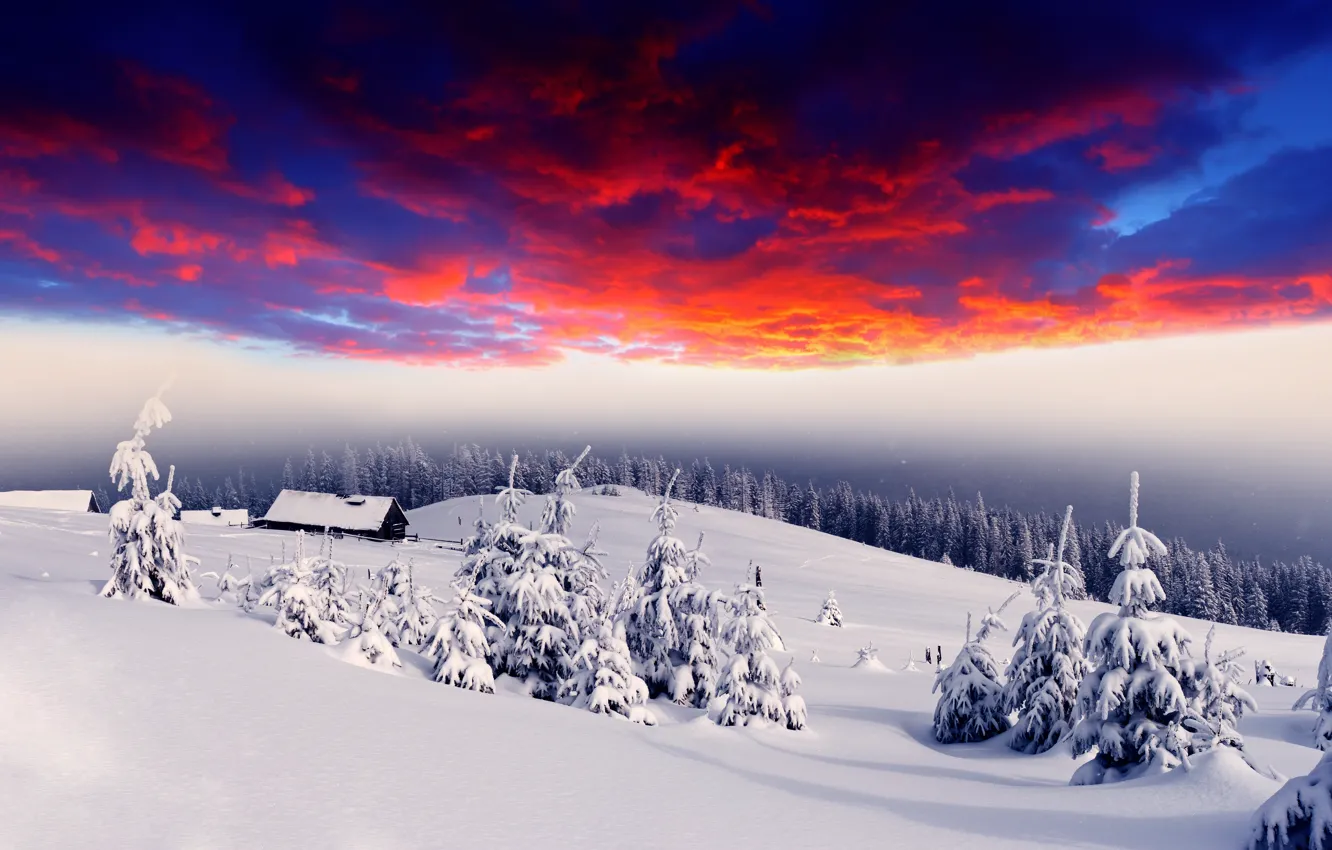 Photo wallpaper winter, forest, snow, dawn, glow, houses, village, tree