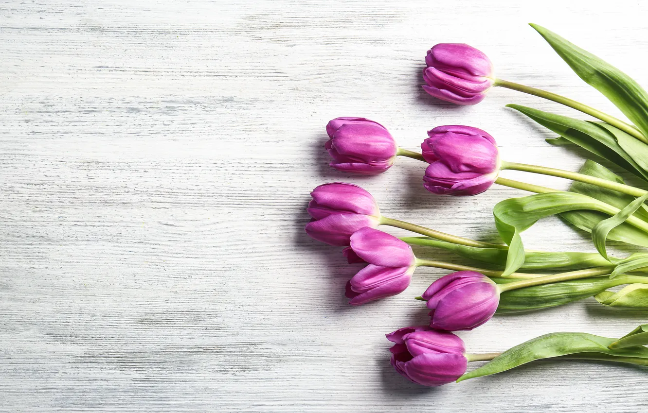 Photo wallpaper flowers, bouquet, tulips, wood, flowers, tulips, spring, purple