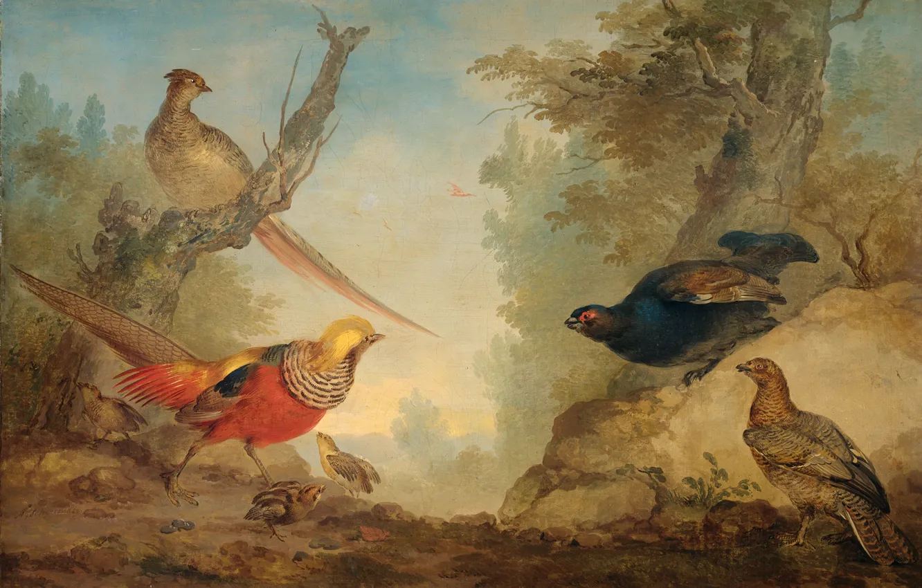 Photo wallpaper birds, oil, picture, canvas, Pheasants, ERT Schumann, 1760, Aert Schouman