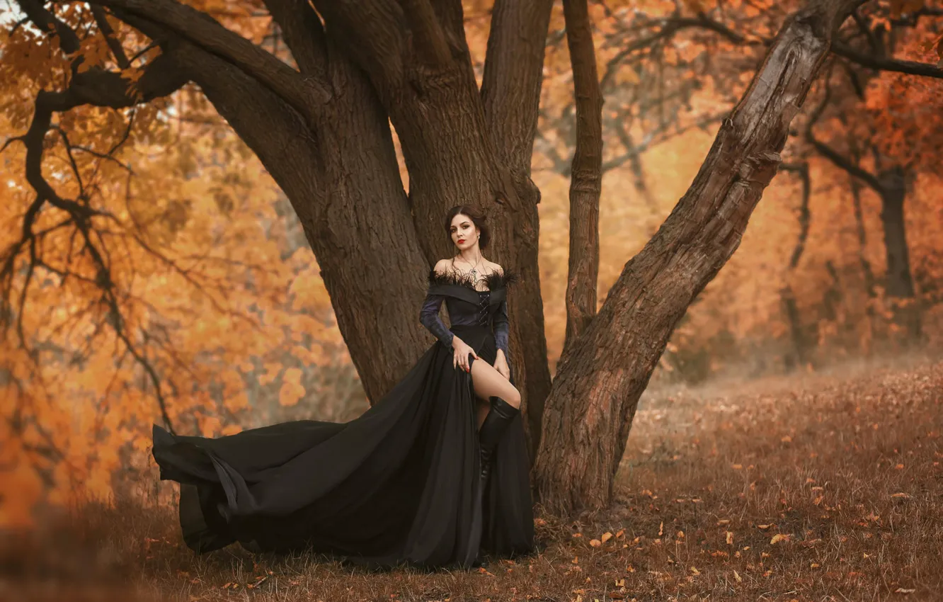 Photo wallpaper autumn, girl, trees, pose, dress, beautiful, Irina Chernyshenko
