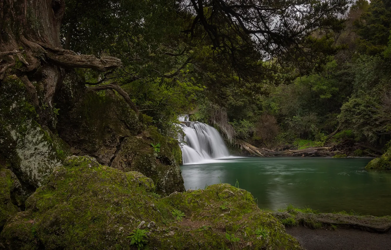 Photo wallpaper forest, river, waterfall, New Zealand, Hawke's Bay, River Maraetotara, Hawke's Bay, Maraetotara River