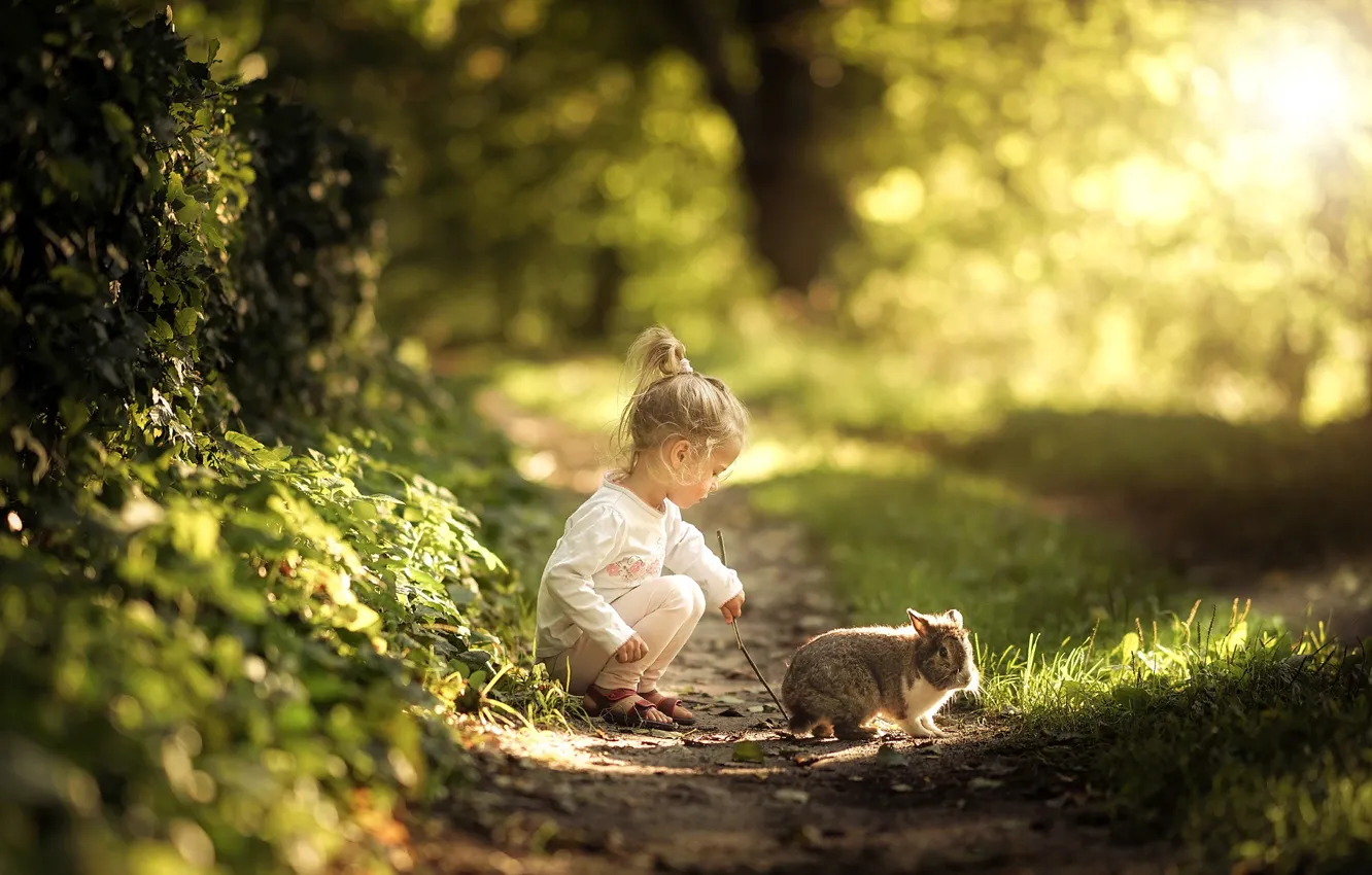 Photo wallpaper summer, grass, nature, children, animal, rabbit, girl, path