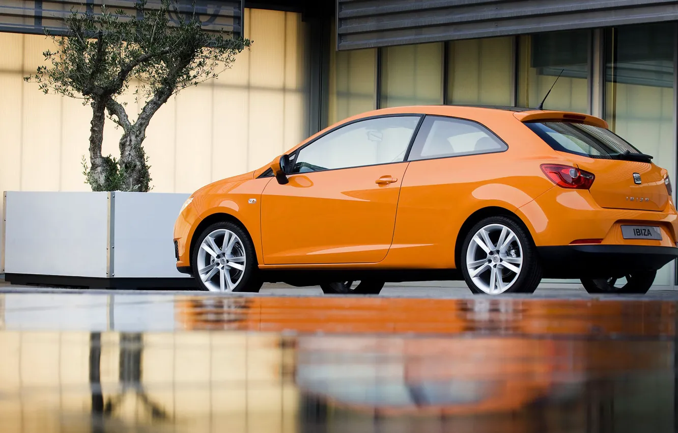 Photo wallpaper salon, hatchback, Ibiza, Seat