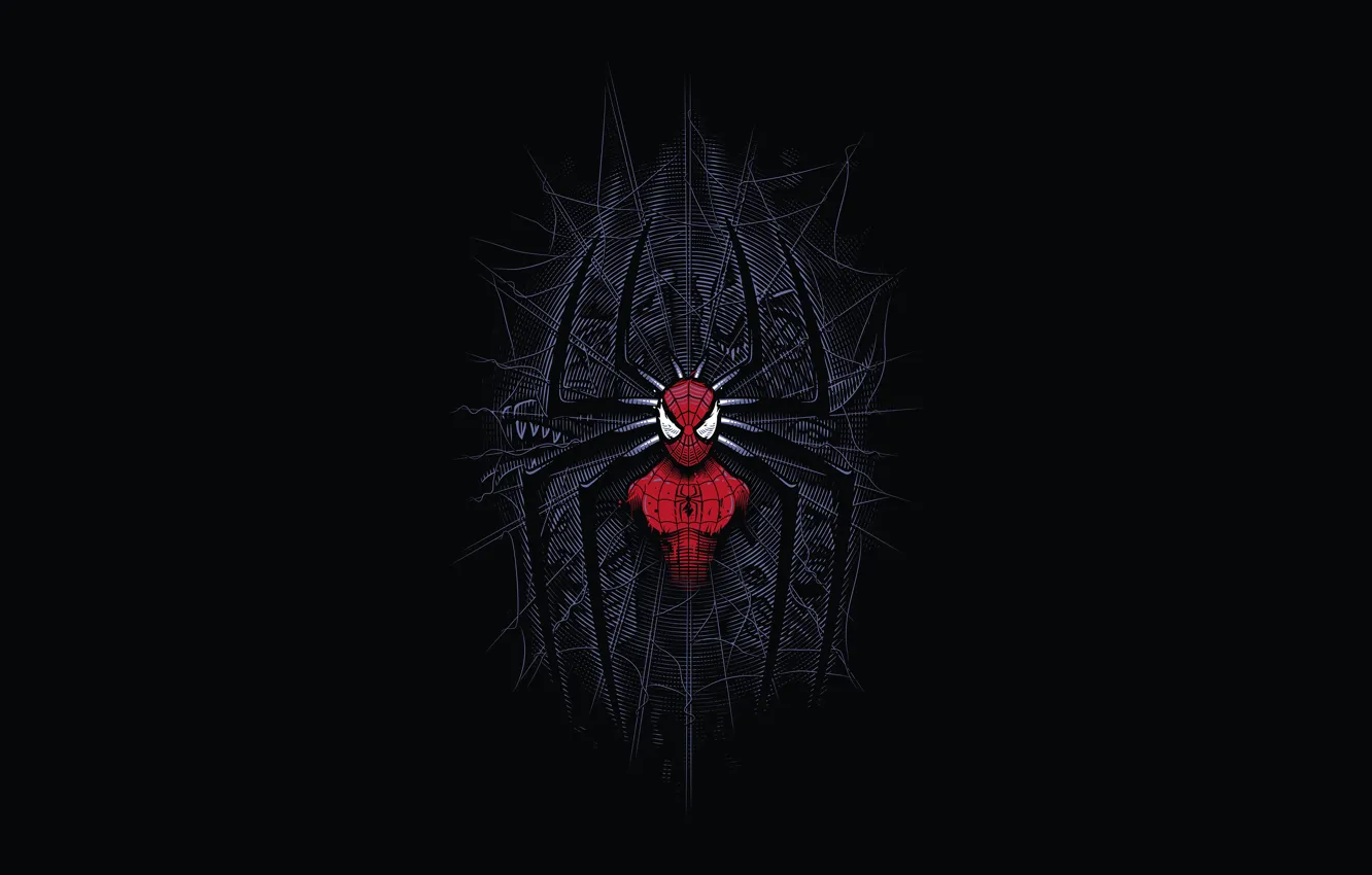 Photo wallpaper spider-man, black background, superhero, Digital Art, Spiderman, Minimalism