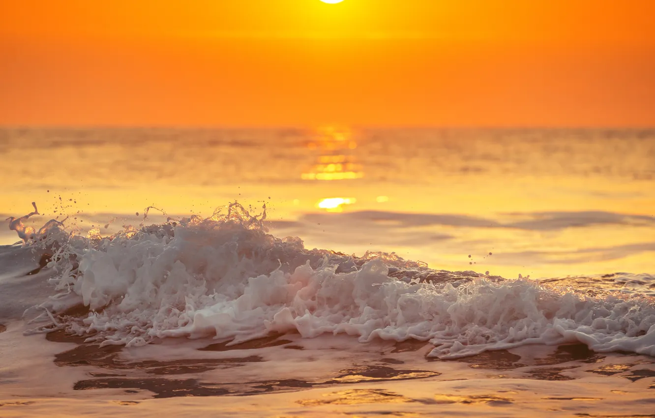 Photo wallpaper sea, wave, foam, the sun, sunrise, tide, splash of water