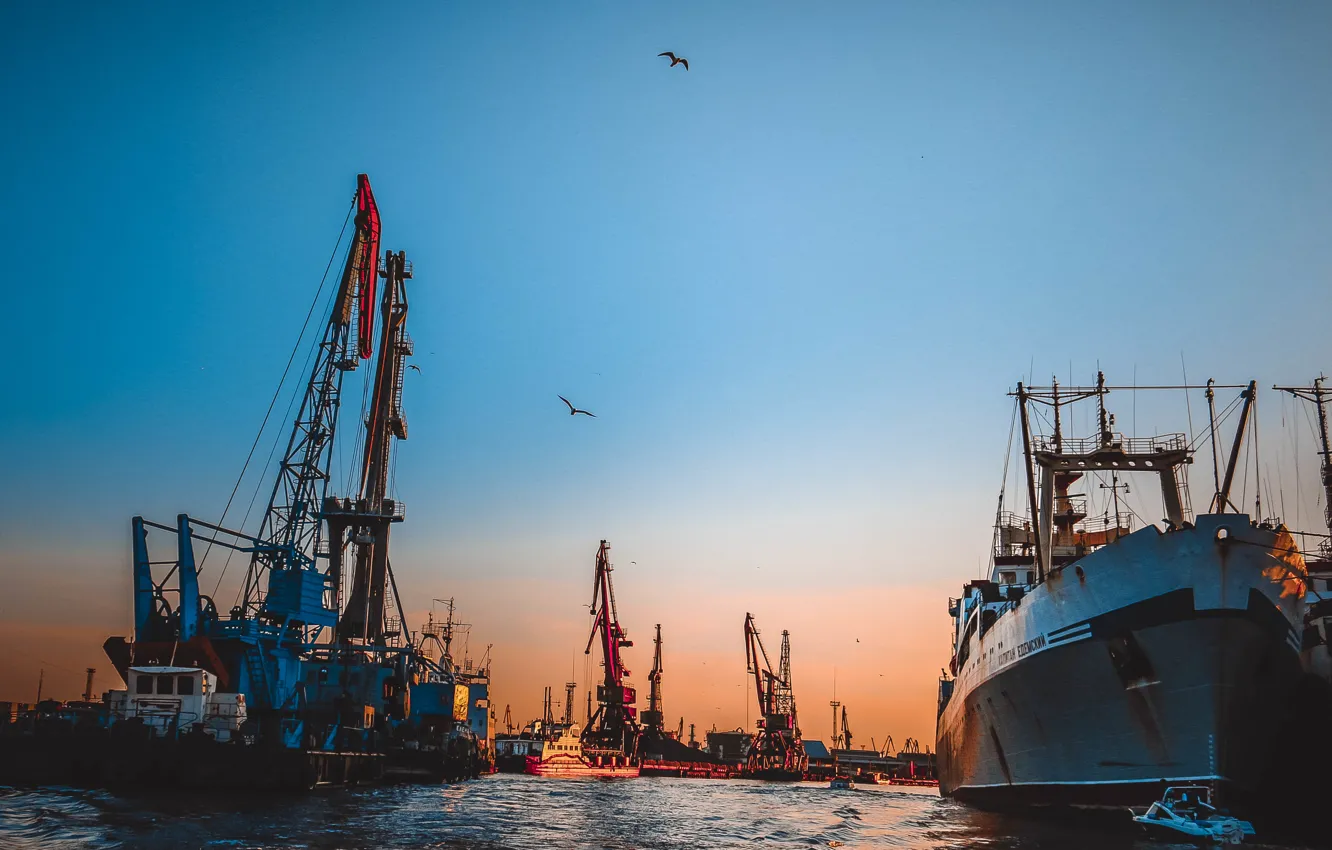 Photo wallpaper sunset, port, Kaliningrad