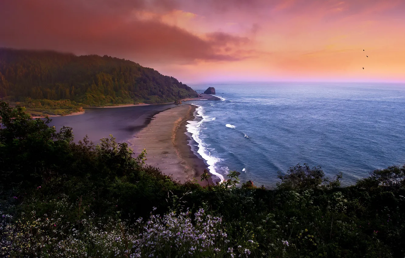 Photo wallpaper sea, sunset, shore