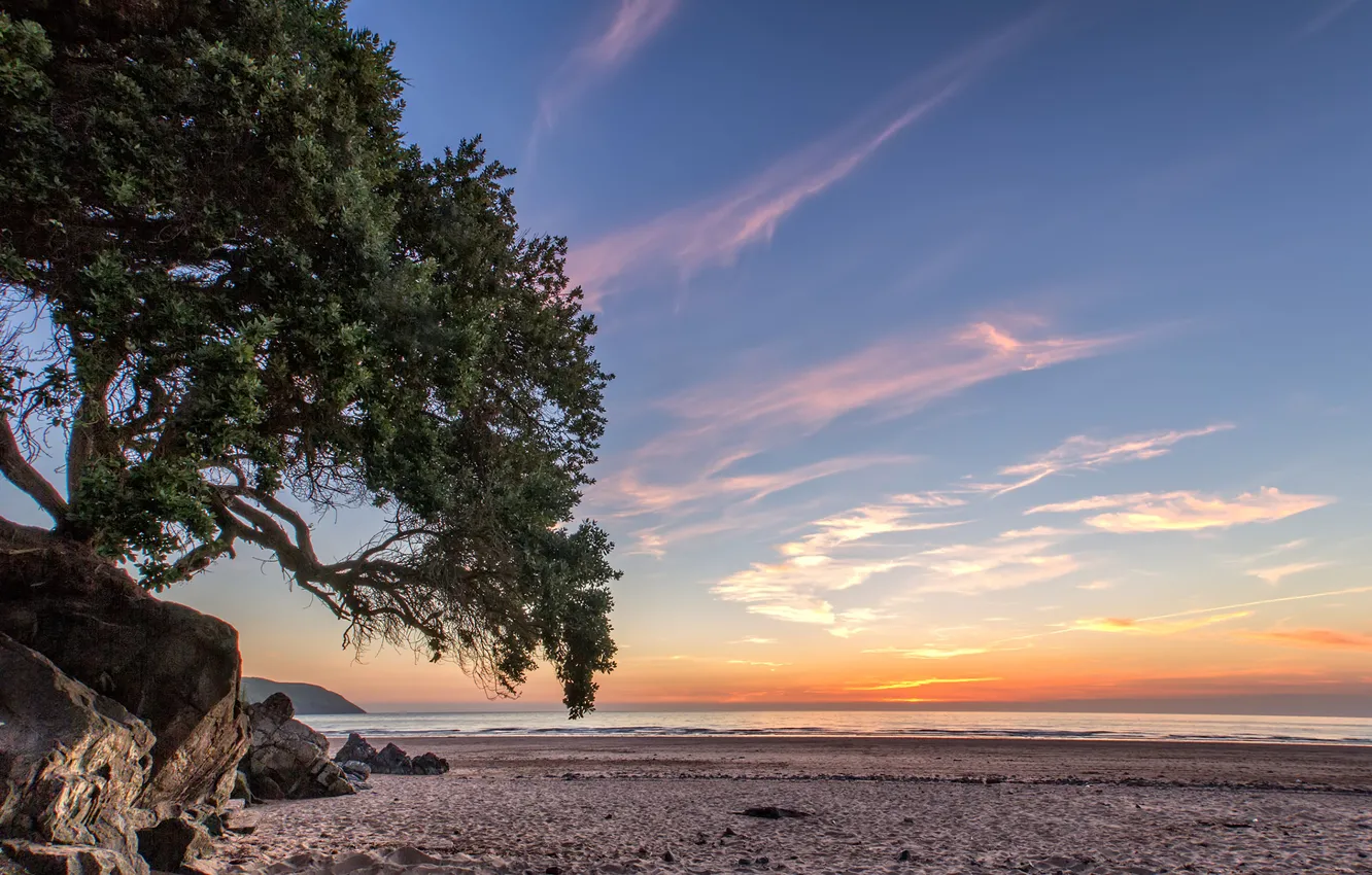 Photo wallpaper beach, sky, sea, ocean, coast, sunset, tree