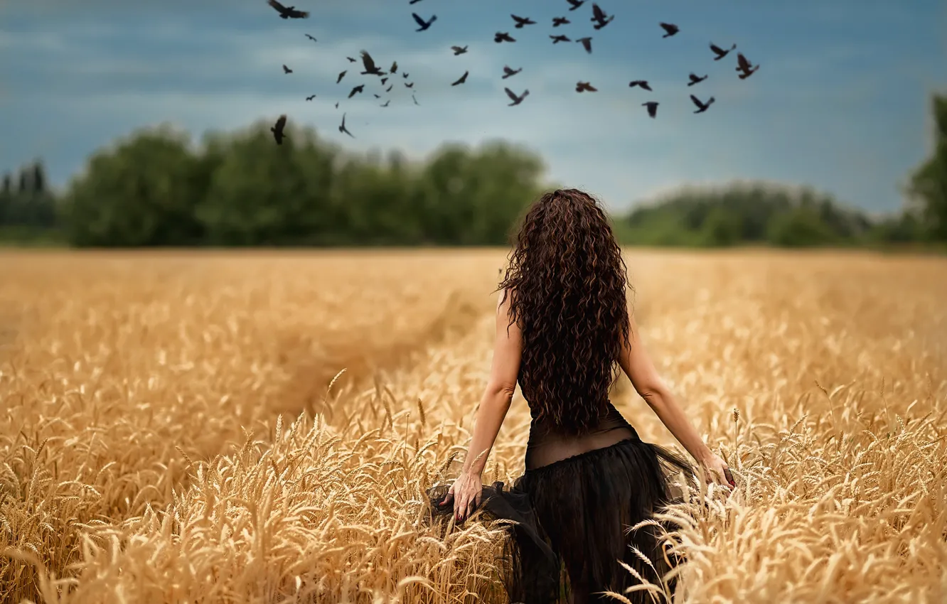 Photo wallpaper HAIR, FIELD, DRESS, PACK, BIRDS, wheat, photographer Georgy Dyakov, Model silvairina