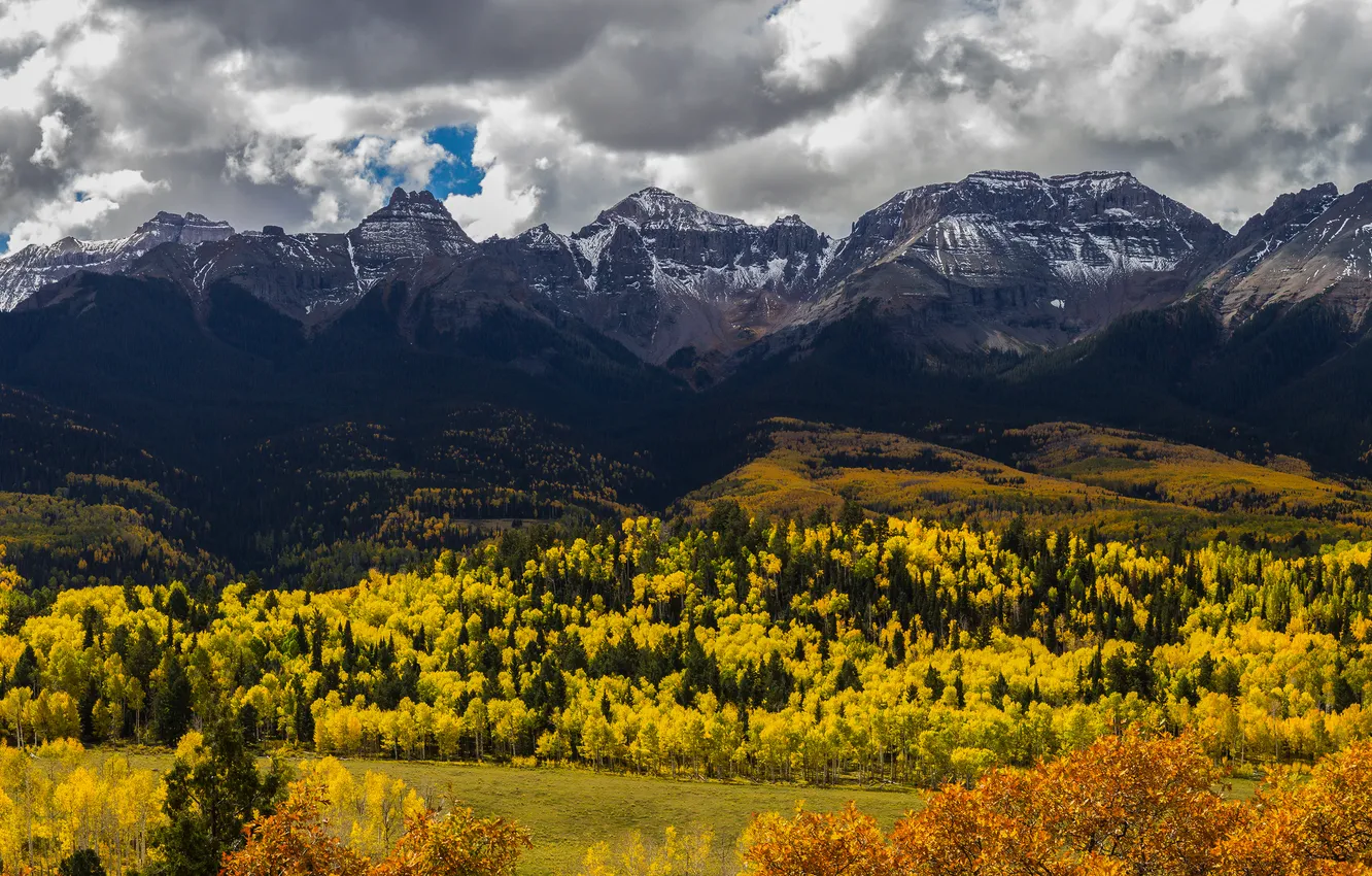Photo wallpaper autumn, forest, the sky, snow, mountains, clouds, tops, slope