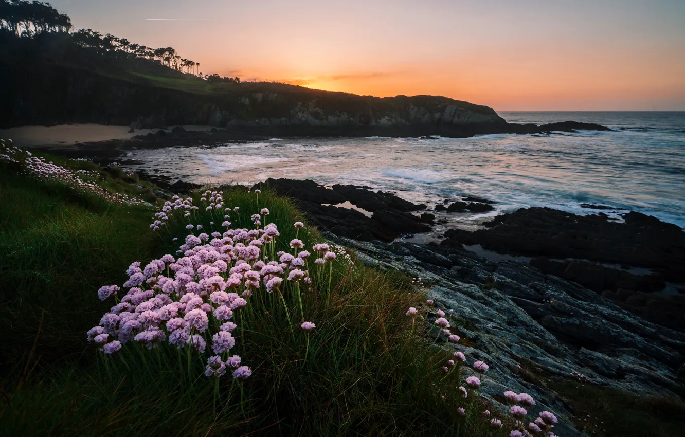 Photo wallpaper sea, grass, sunset, flowers, rocks, shore, the evening, surf