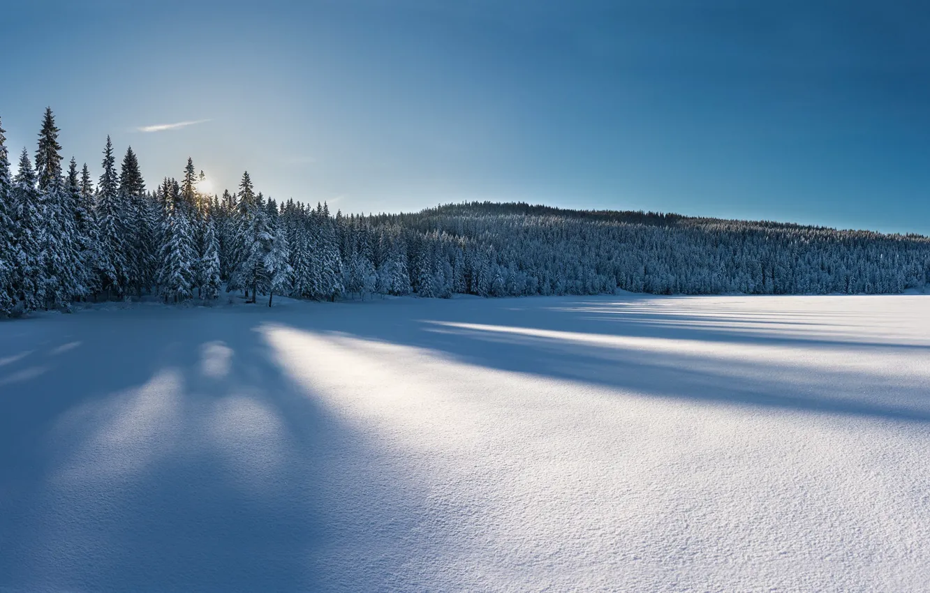 Photo wallpaper winter, snow, morning