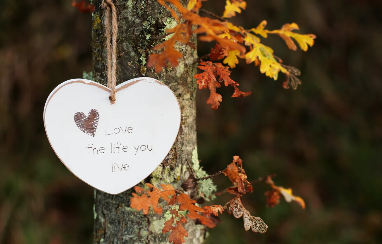 Photo wallpaper leaves, tree, the inscription, heart, hanging