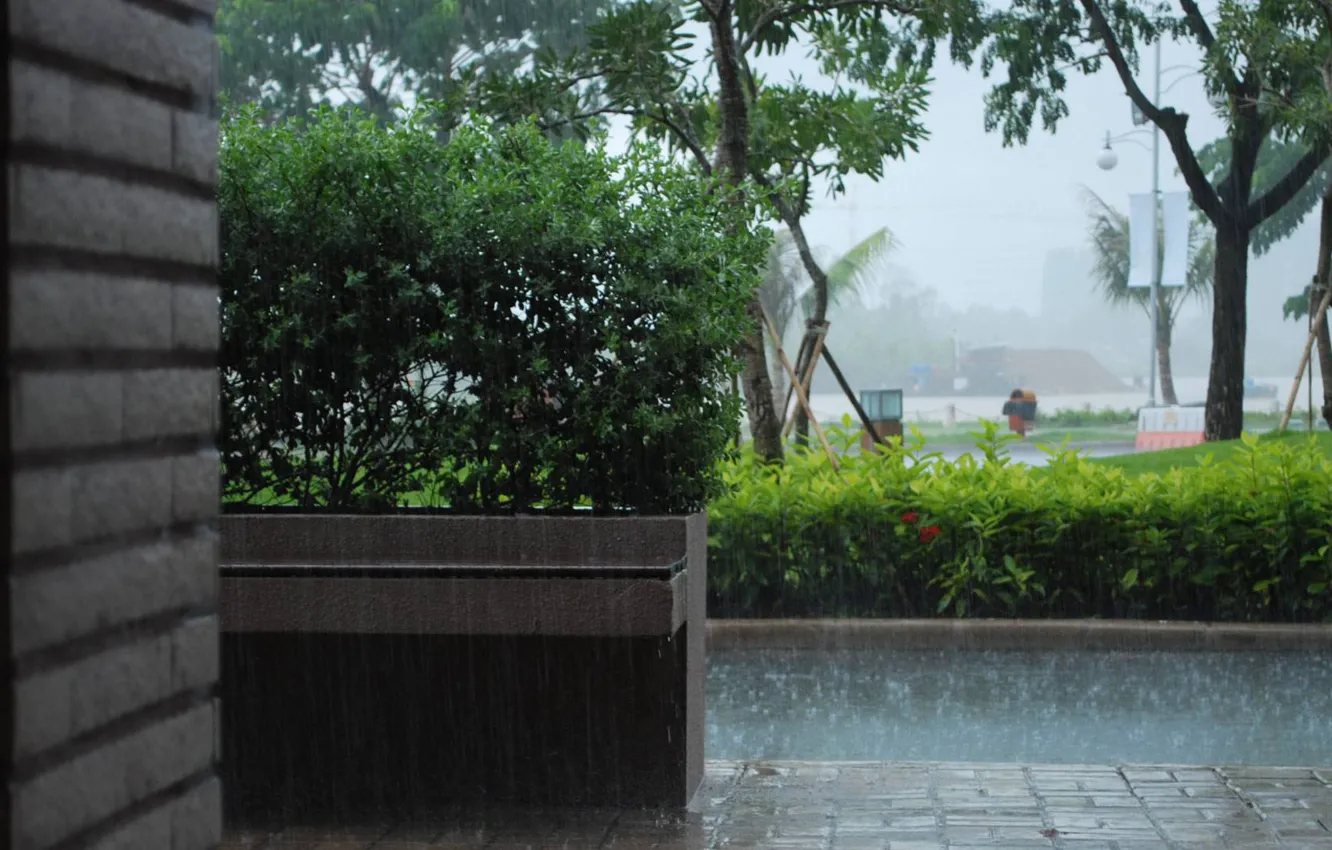 Photo wallpaper nature, the city, rain