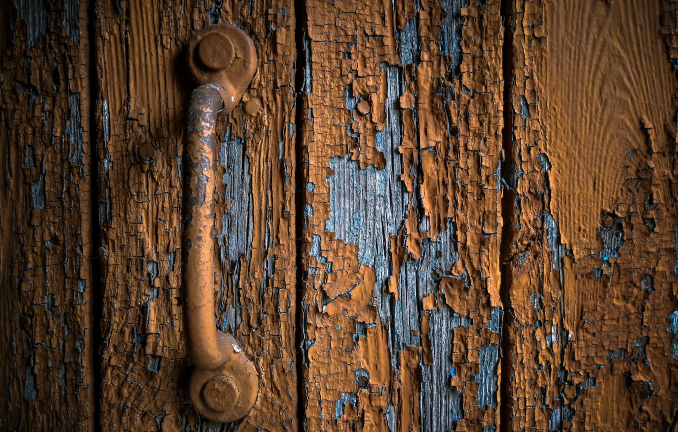 Photo wallpaper macro, background, the door