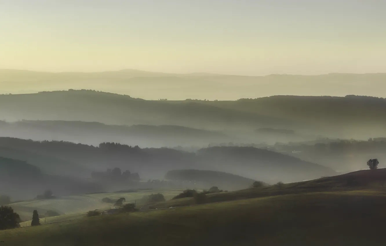 Photo wallpaper trees, fog, hills, view, morning