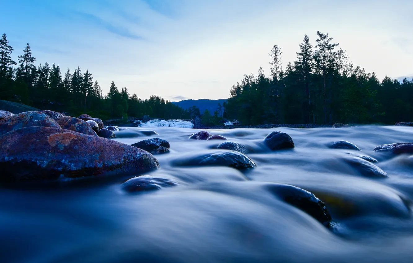 Photo wallpaper forest, river, stones, stream
