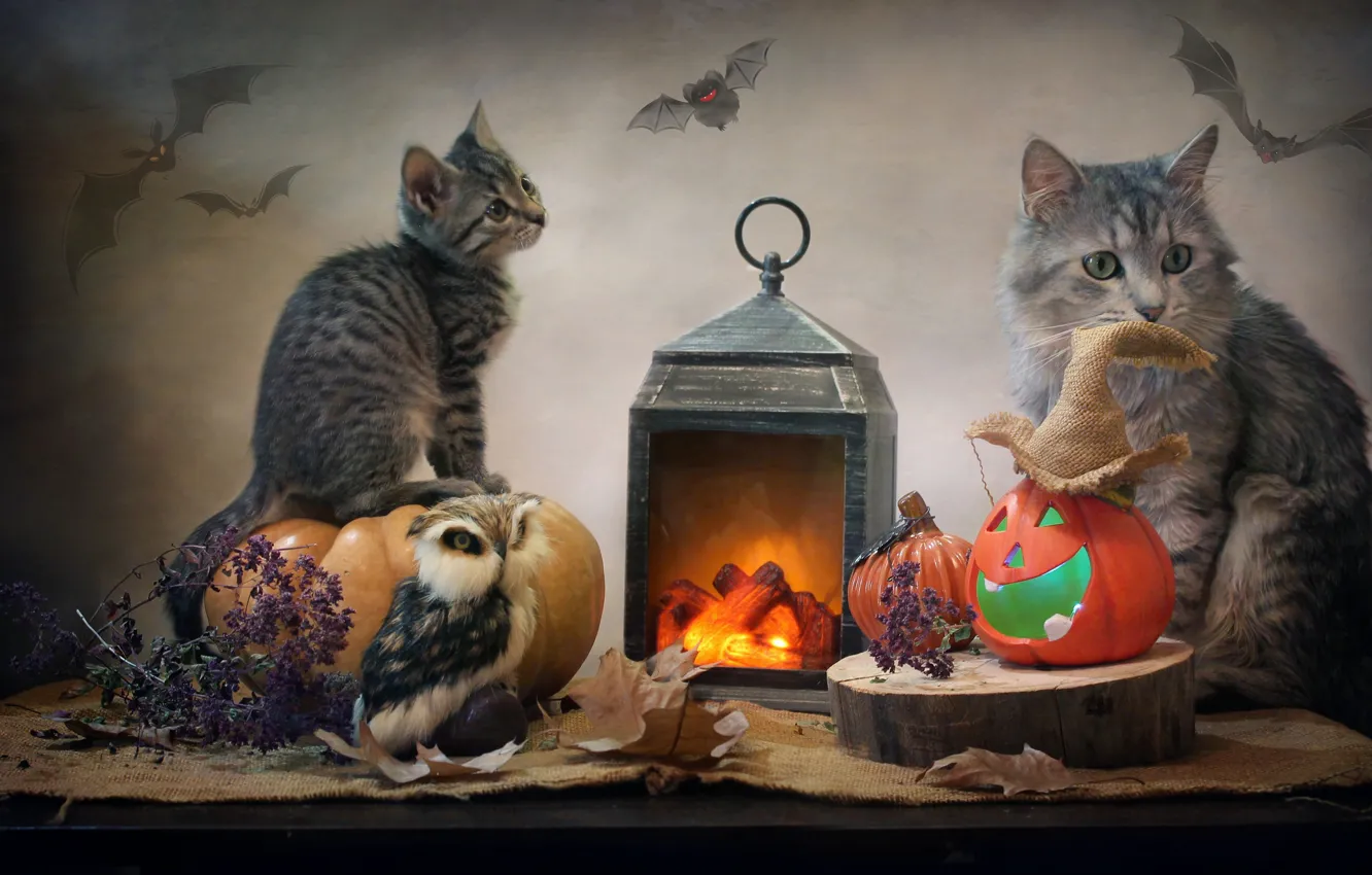 Photo wallpaper animals, cat, leaves, owl, lantern, pumpkin, fabric, Halloween
