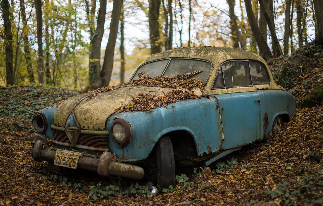 Photo wallpaper autumn, forest, leaves, rust, abandoned car
