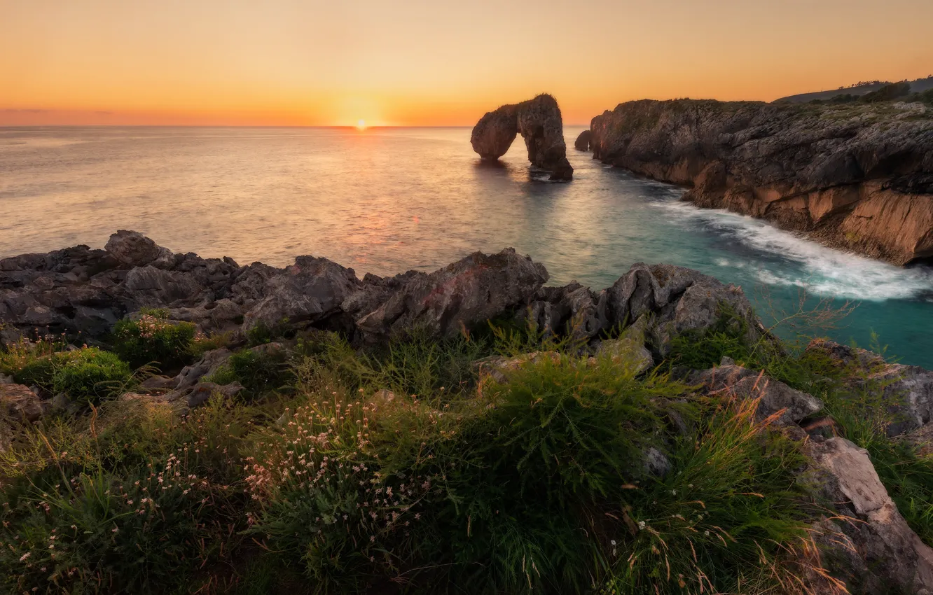 Photo wallpaper sea, rocks, shore, vegetation, view, arch
