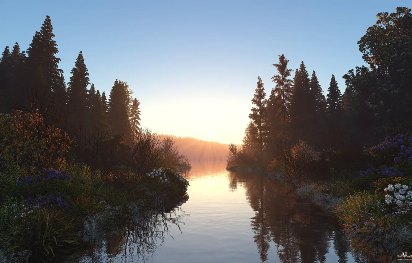 Photo wallpaper reflection, river, vegetation, Bank, morning rays