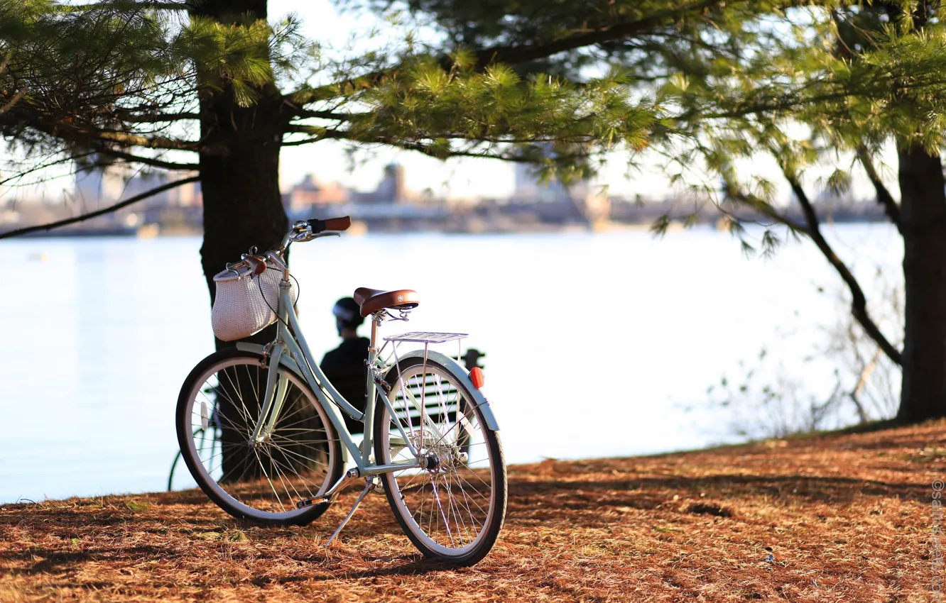Photo wallpaper bike, the city, river, Canada, Ontario, Canada, bicycle, Ontario